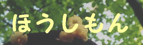 �ق�������