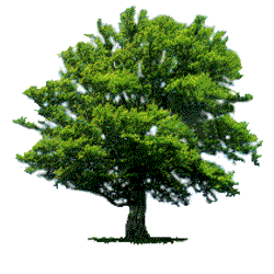 �悤�����@������Ё@���v�ۓS�H���@��