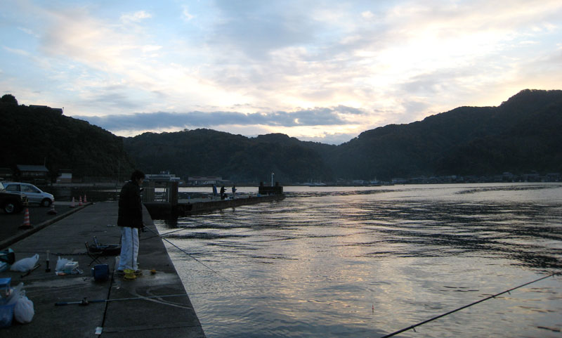 �ɍ��c�[�����O