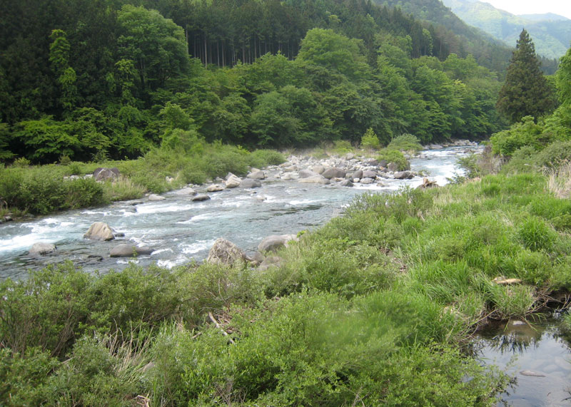 ��ˏ����