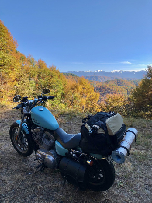 �c�[�����O