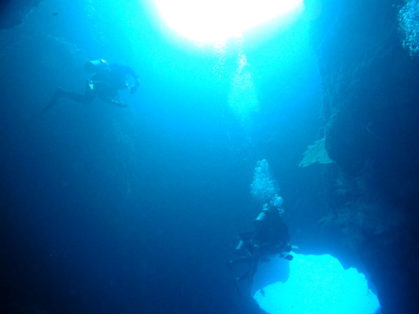 �u���[�z�[��