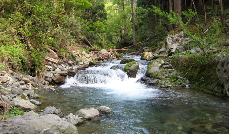 ���䌧�̐�