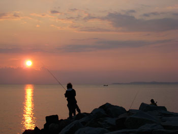 ���o���ނ�