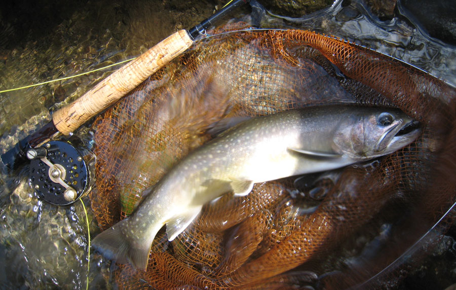 �R�T�����