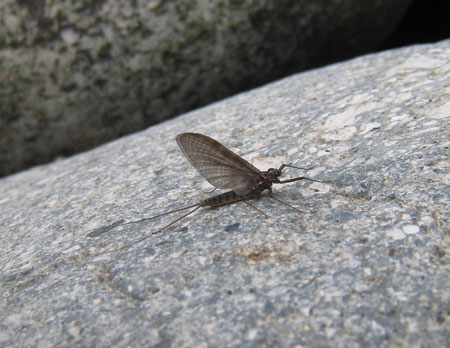 �R�J�Q���E