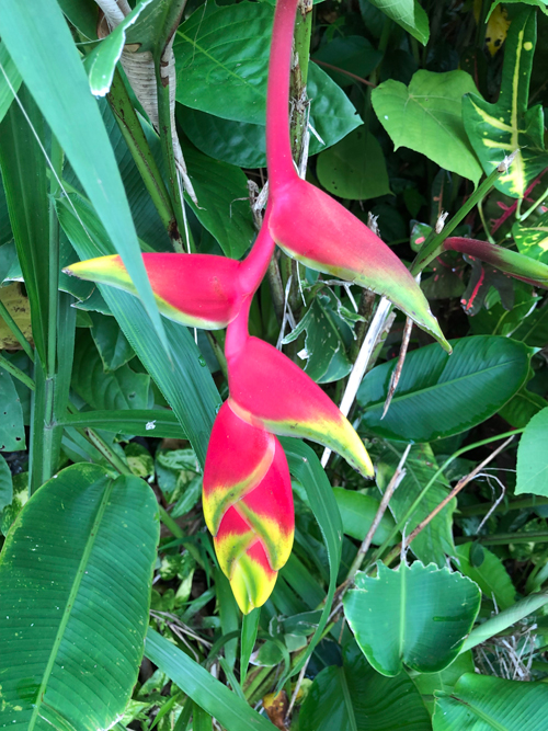 �w���R�j�A