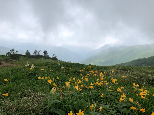 �j�b�R�E�L�X�Q