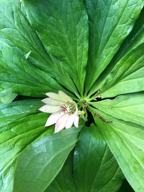 �L�k�K�T�\�E