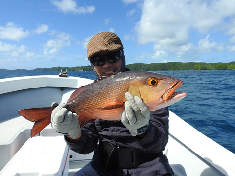 �o���t�G�_�C