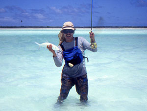 �{�[���t�B�b�V��