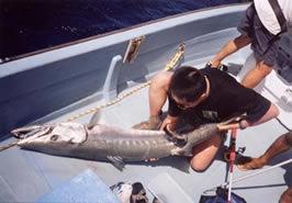 �o���N�[�_