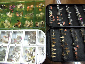 �h���C�t���C