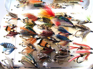 �E�G�b�g�t���C