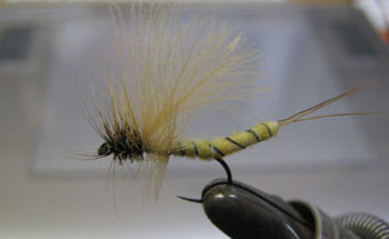 �����J�Q���E