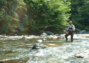 �t���C�t�B�b�V���O