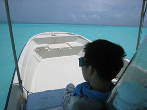 ���Q�p���I