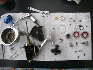 �����e�i���X