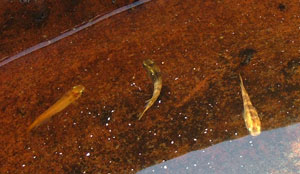 �}�_�����_�J