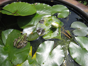 �g�m�T�}�K�G��