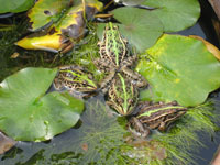 �J�G������