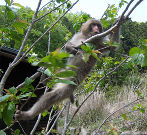 �����ƃL�[