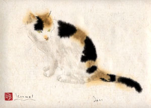 �~�[�i19�΁j