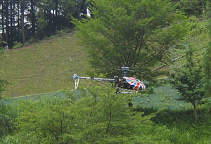 ���W�R���w��