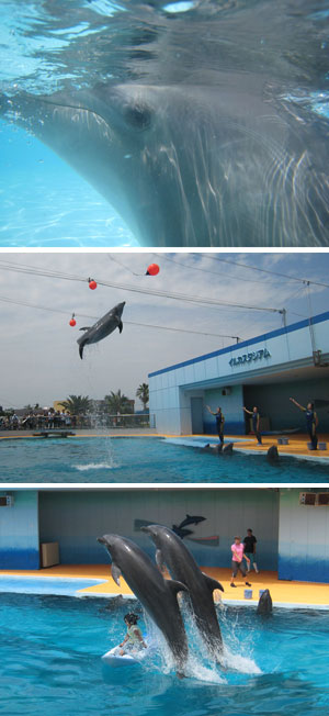 ��m���r�[�`�����h