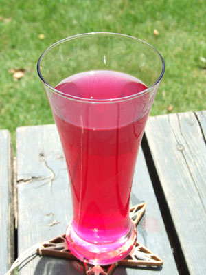 ���h�W���[�X