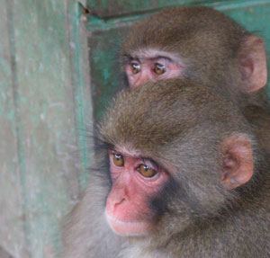 �����ƃL�[