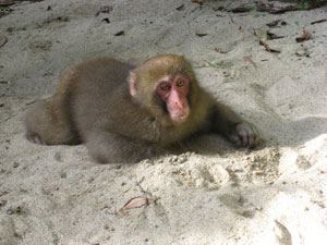 ����������