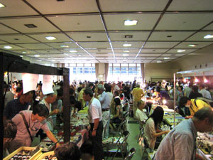 �~�l�����V���[