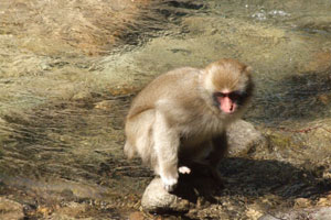 �����ƃL�[