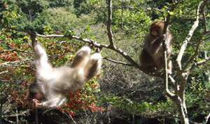 �����ƃL�[