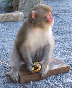 �����ƃL�[