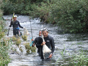 ������