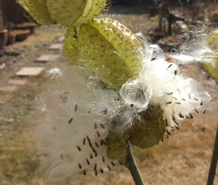 ���D����