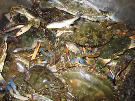 �J�j�E�G�r