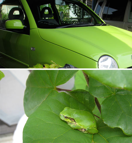 ルポ（アマガエル色）