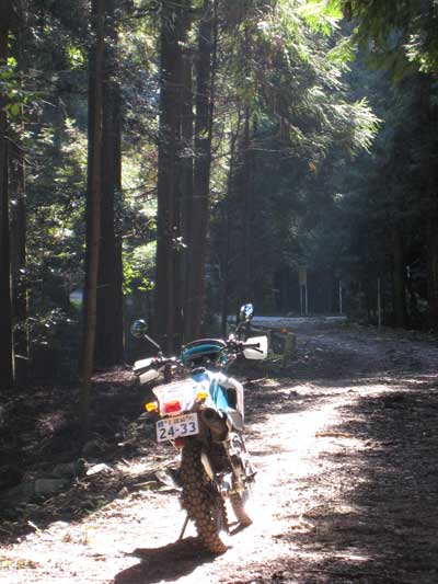 林道ツーリング