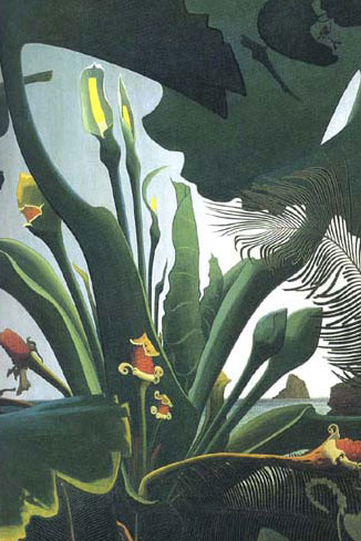 クワズイモとソテツ