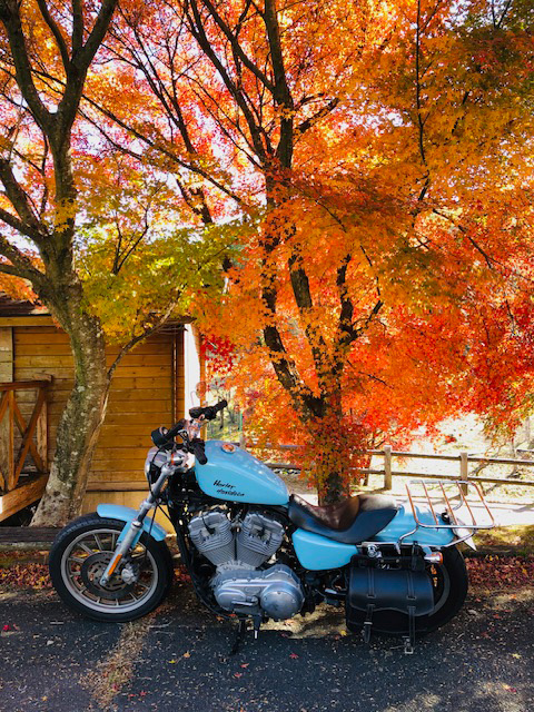 紅葉ツーリング