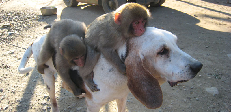 �m���E�����E�L�C