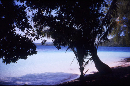 �I���J����