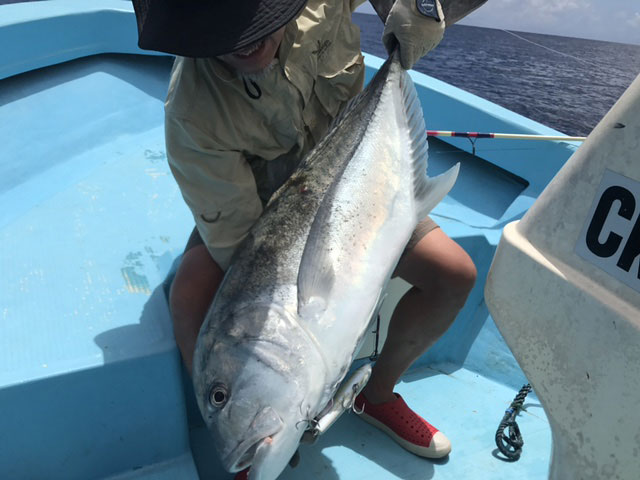 GT�t�B�b�V���O