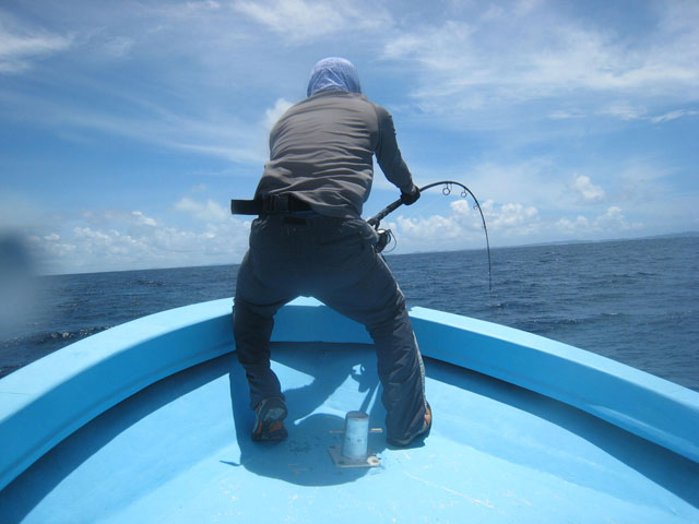 GT�t�B�b�V���O