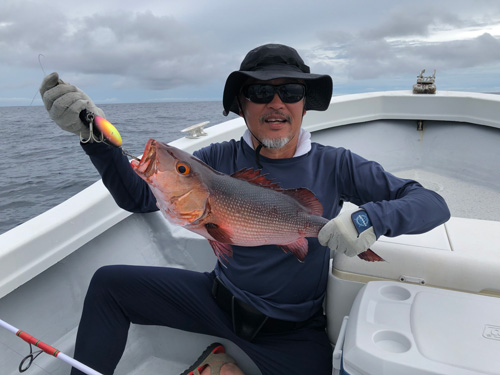 �o���t�G�_�C