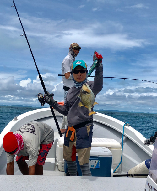 �����K���J���n�M