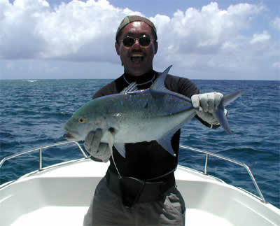 �J�X�~�A�W